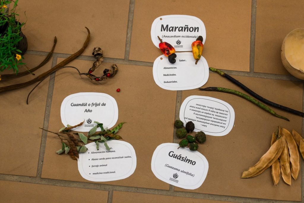 Instagram post from fundaec_org. This post is in position 4.