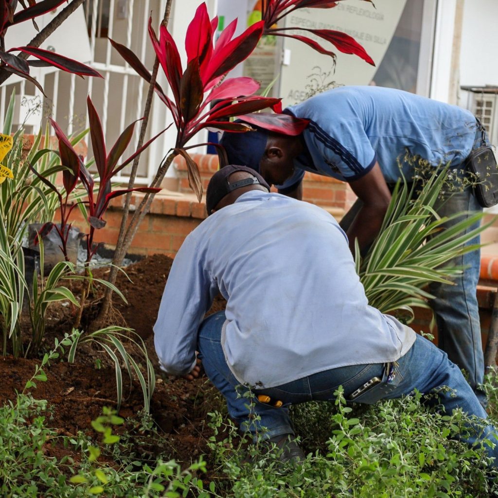 Instagram post from fundaec_org. This post is in position 4.