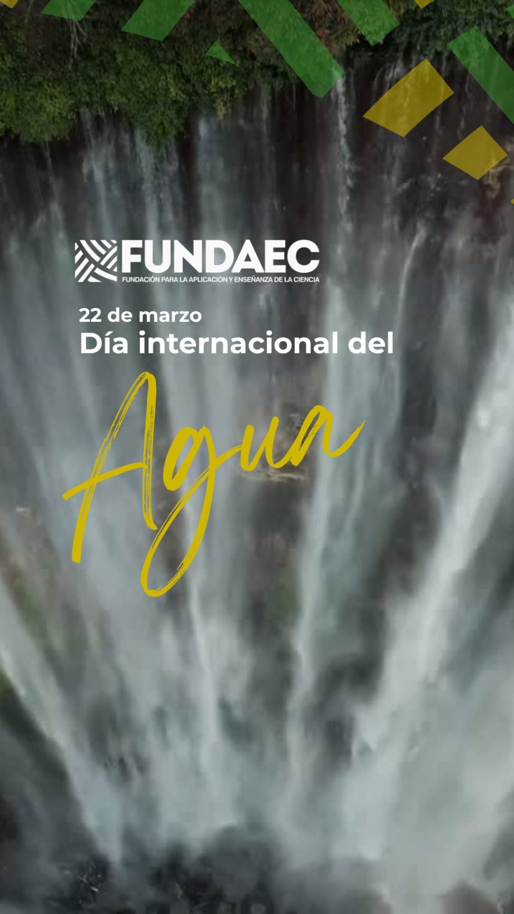 Instagram post from fundaec_org. This post is in position 0.