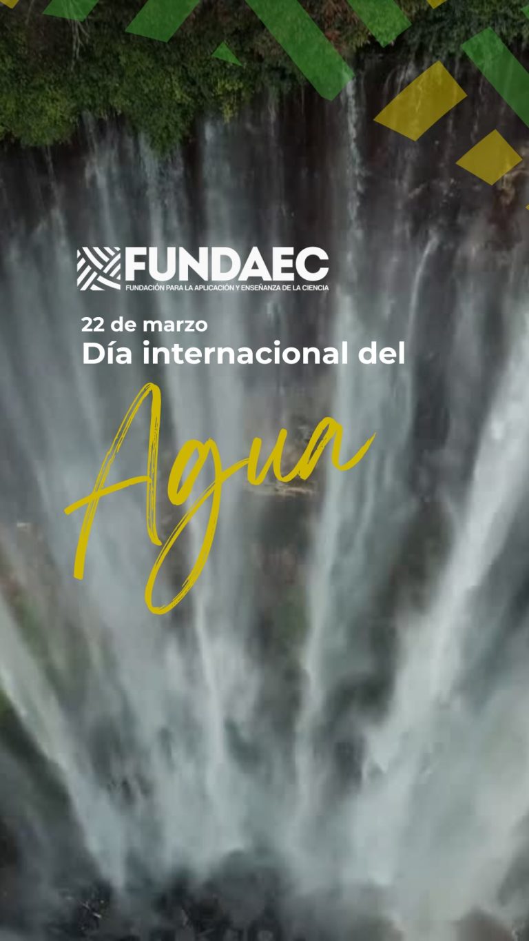 Instagram post from fundaec_org. This post is in position 1.