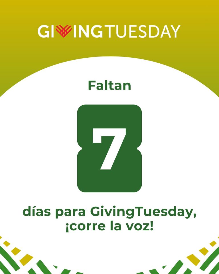 Instagram post from fundaec_org. This post is in position 1.