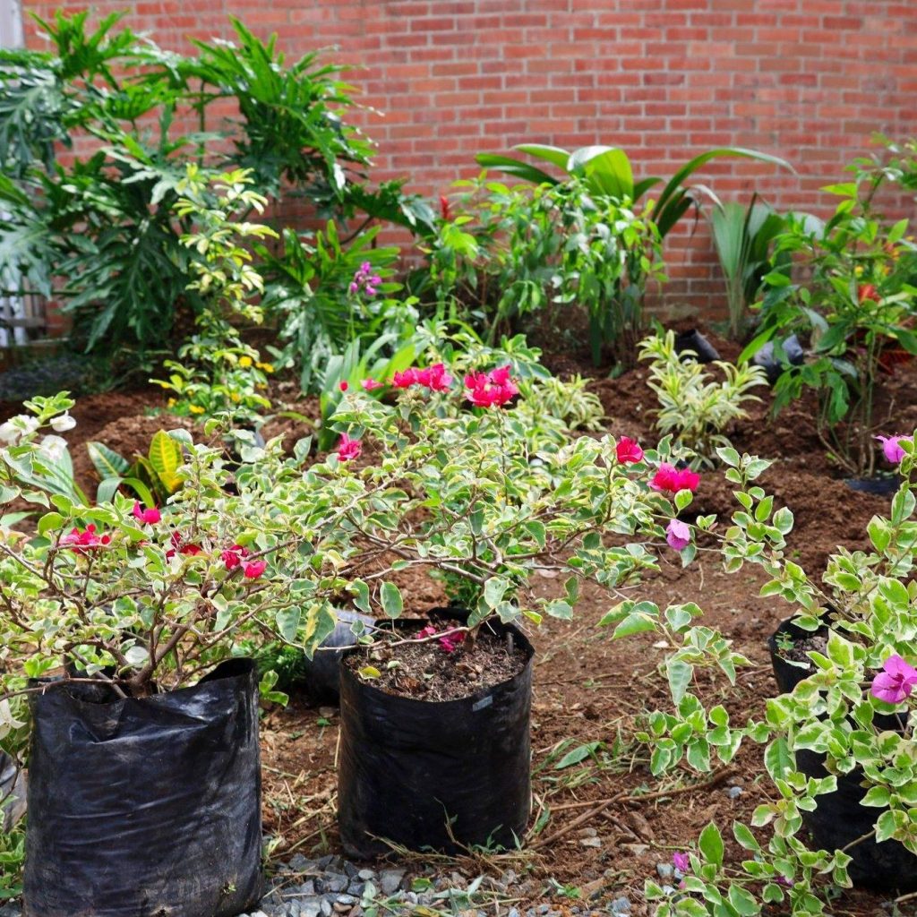 Instagram post from fundaec_org. This post is in position 3.