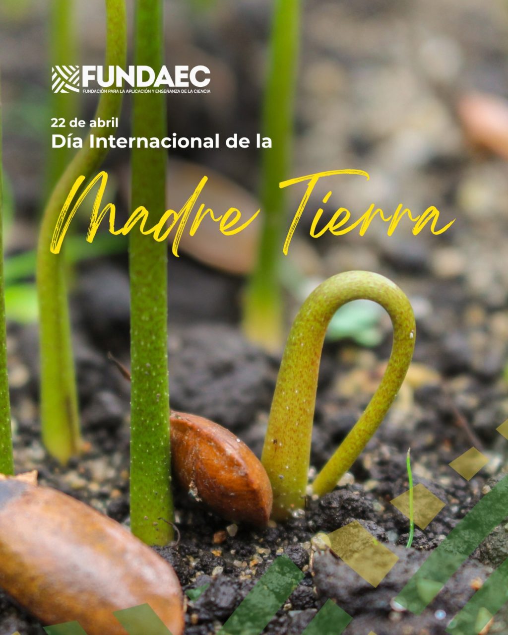 Instagram post from fundaec_org. This post is in position 1.