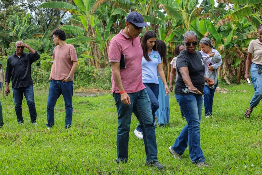 Instagram post from fundaec_org. This post is in position 7.