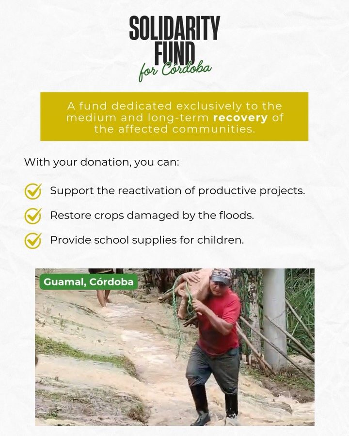 Instagram post from fundaec_org. This post is in position 4.