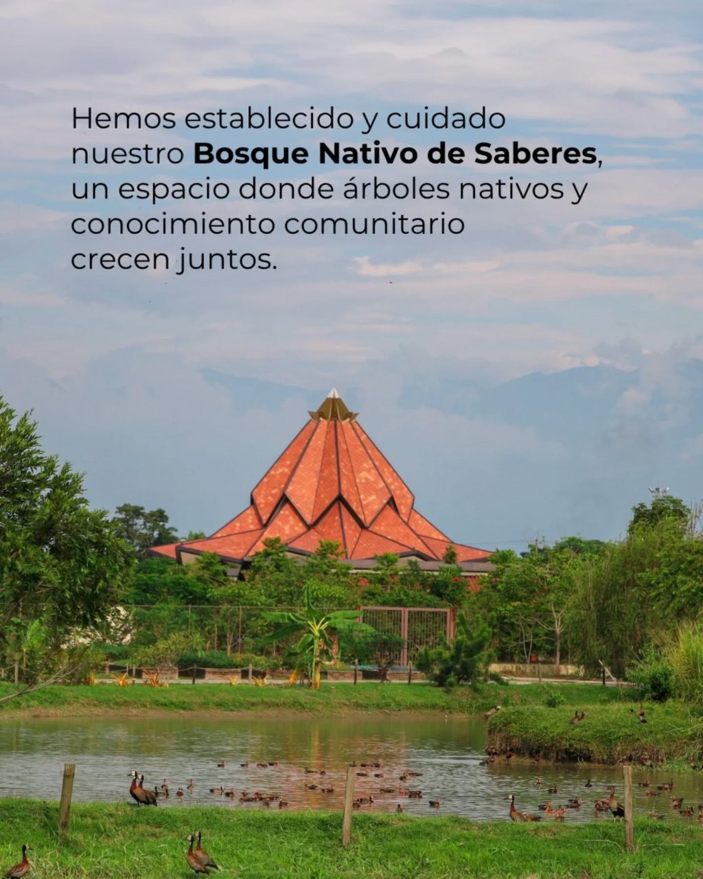 Instagram post from fundaec_org. This post is in position 3.