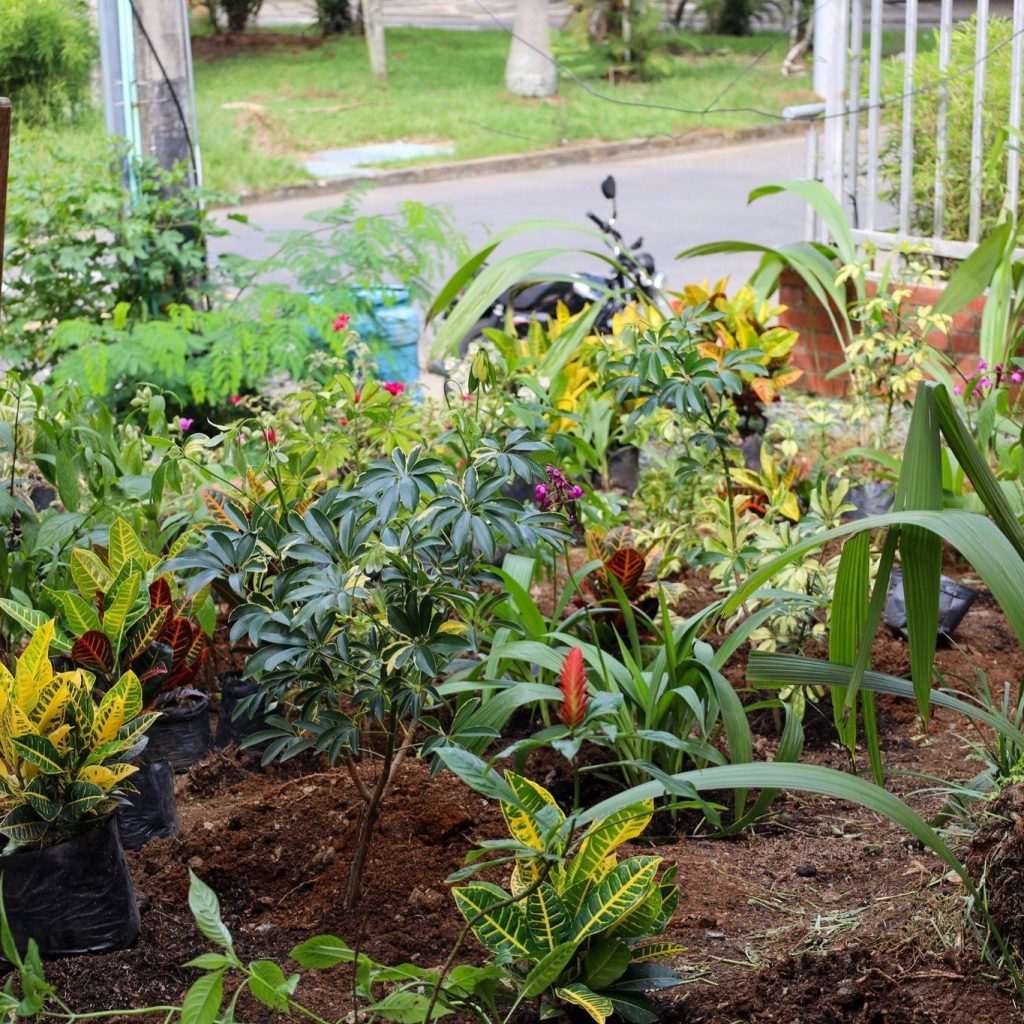 Instagram post from fundaec_org. This post is in position 6.