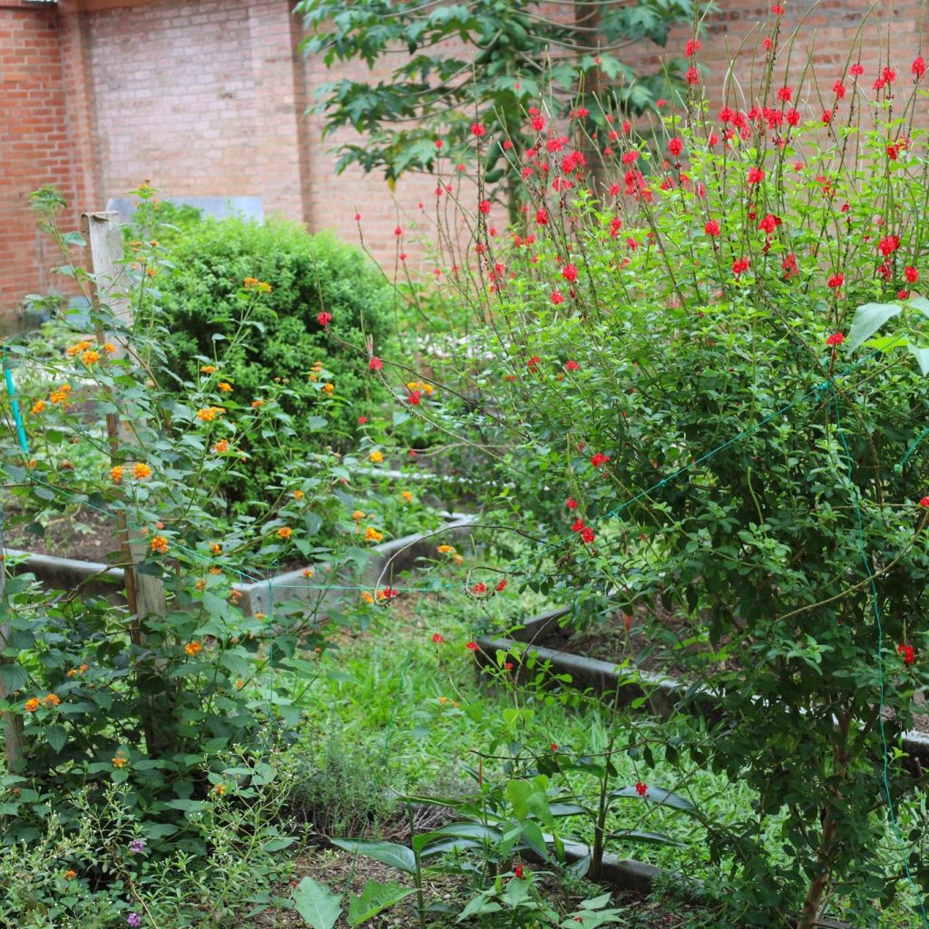 Instagram post from fundaec_org. This post is in position 7.