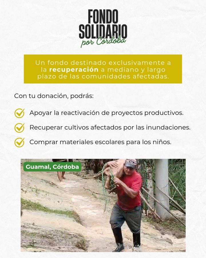 Instagram post from fundaec_org. This post is in position 1.