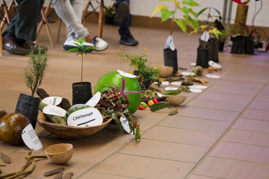 Instagram post from fundaec_org. This post is in position 9.