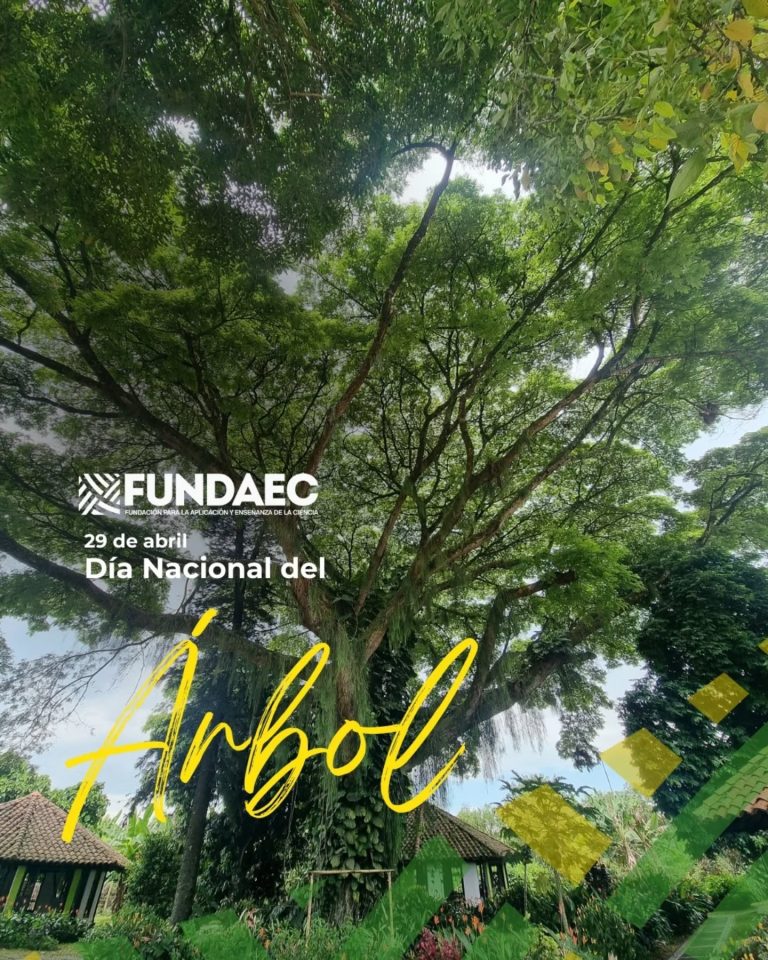 Instagram post from fundaec_org. This post is in position 2.