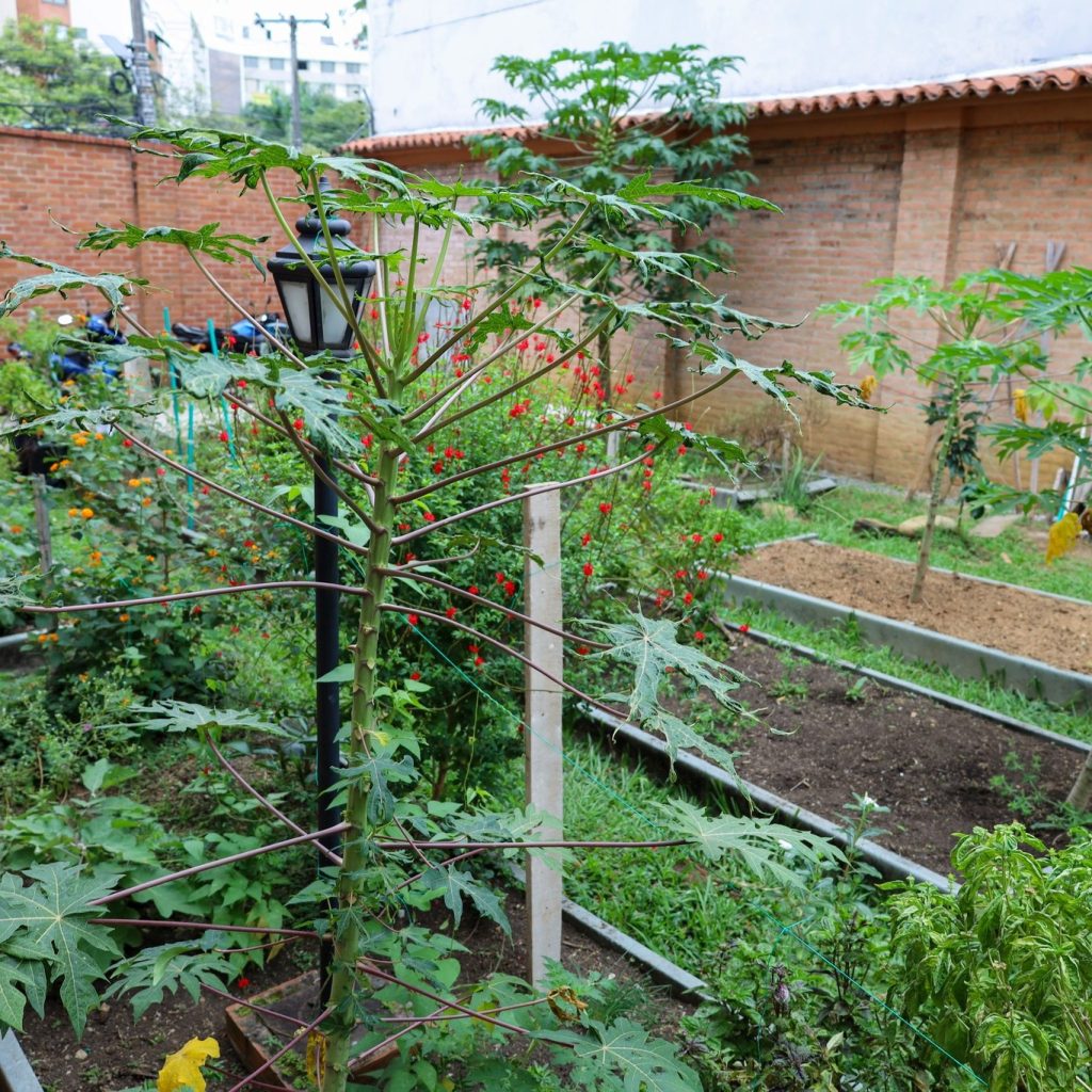 Instagram post from fundaec_org. This post is in position 8.