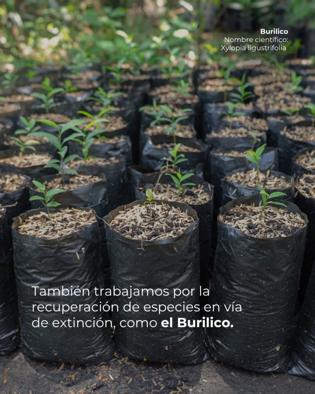 Instagram post from fundaec_org. This post is in position 4.