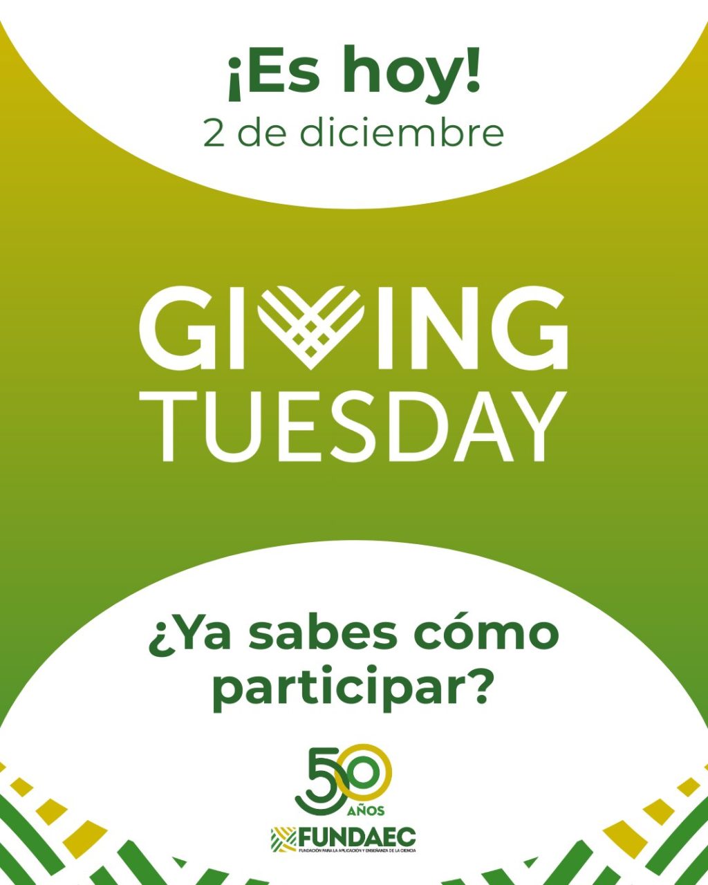 Instagram post from fundaec_org. This post is in position 3.