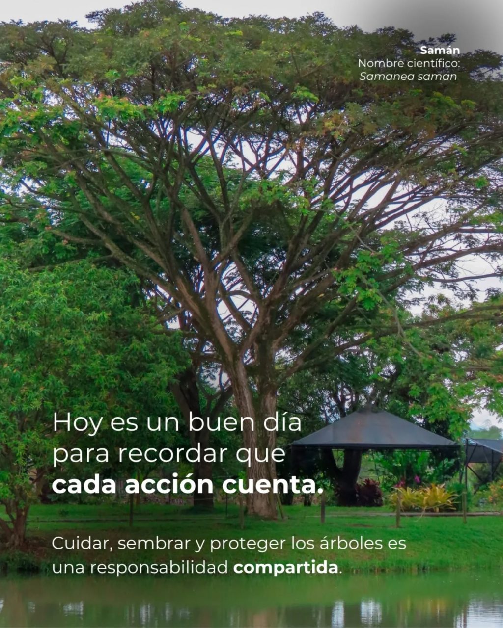 Instagram post from fundaec_org. This post is in position 5.