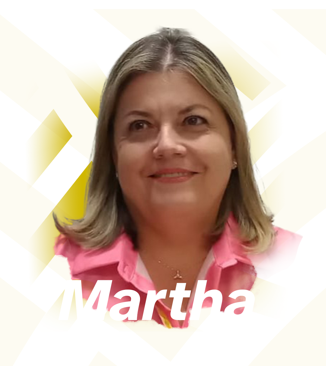 ficha web ficha web